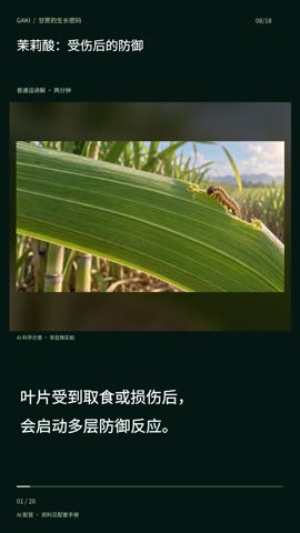 茉莉酸：受伤后的防御