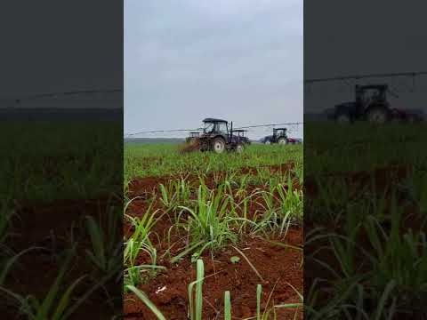 Sugarcane machinery