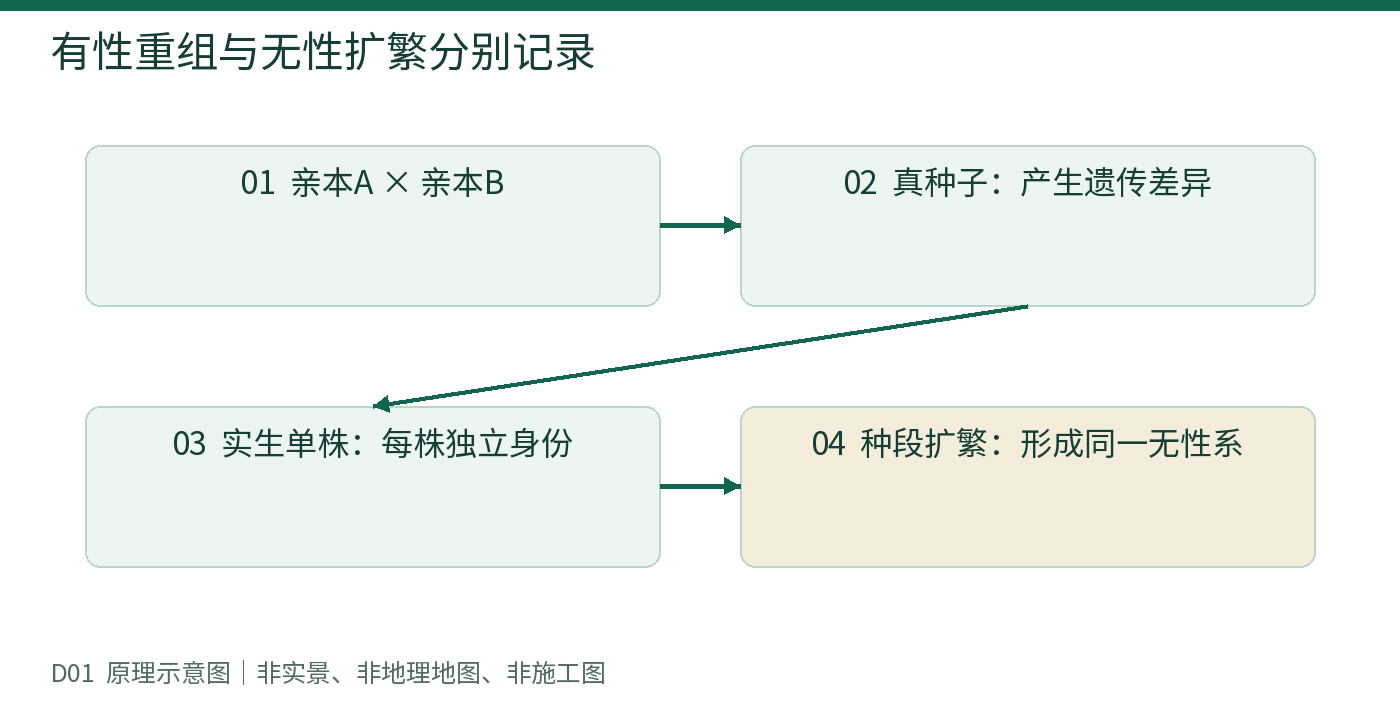 有性重组与无性扩繁分别记录