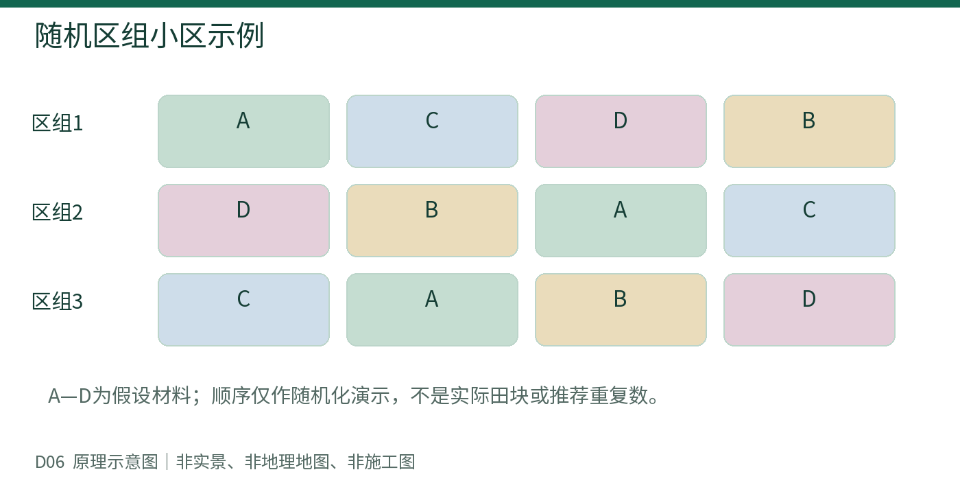 随机区组小区示例