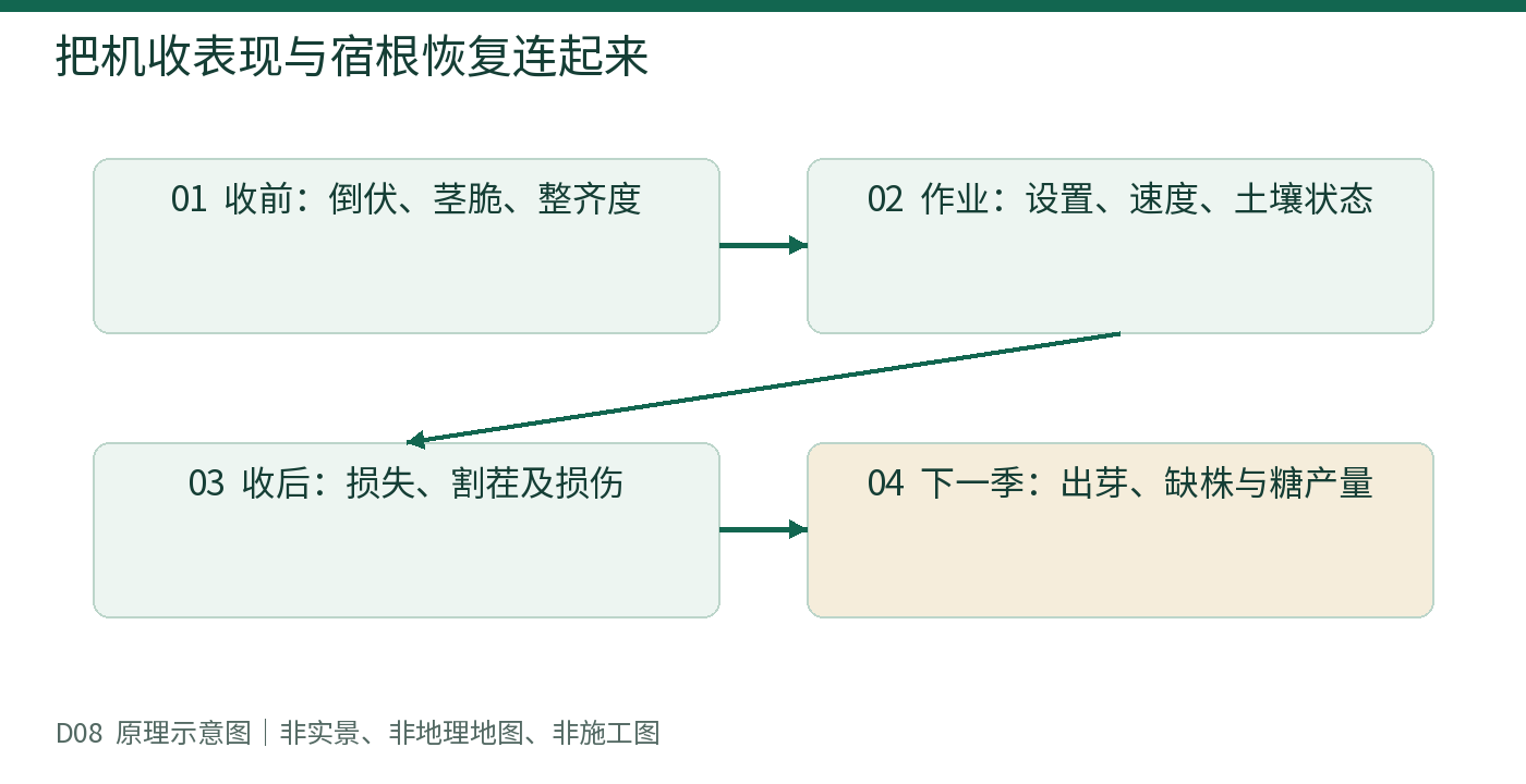 把机收表现与宿根恢复连起来