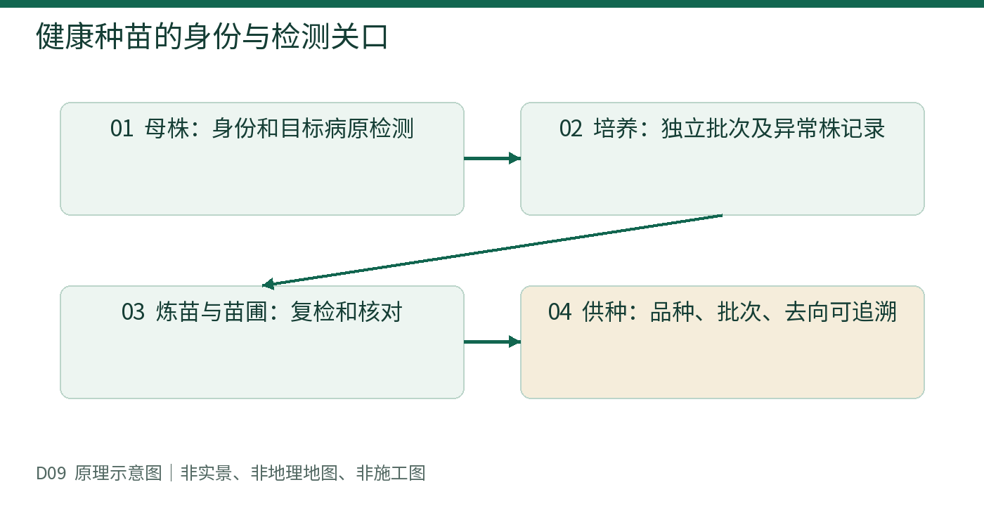 健康种苗的身份与检测关口