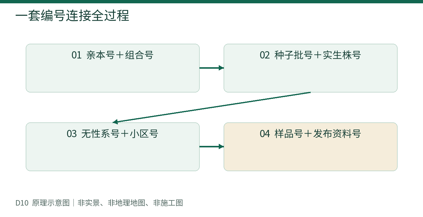 一套编号连接全过程