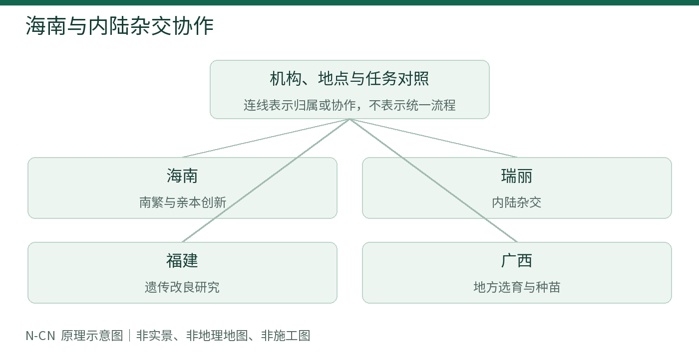 海南与内陆杂交协作
