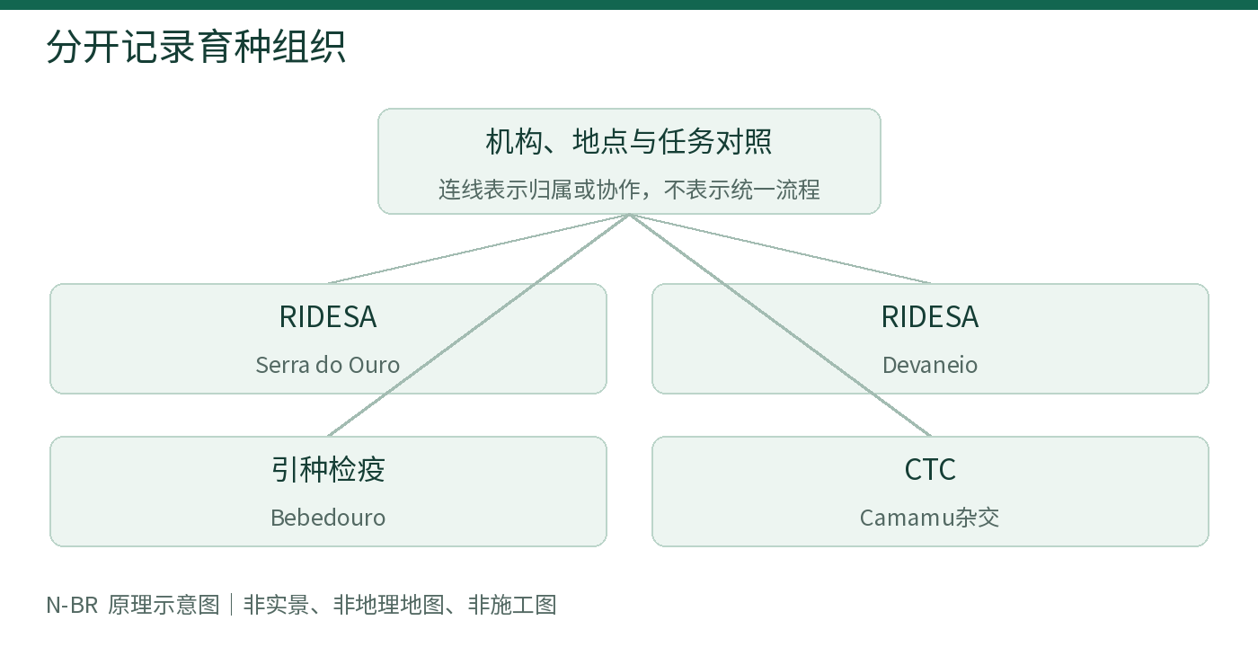分开记录育种组织