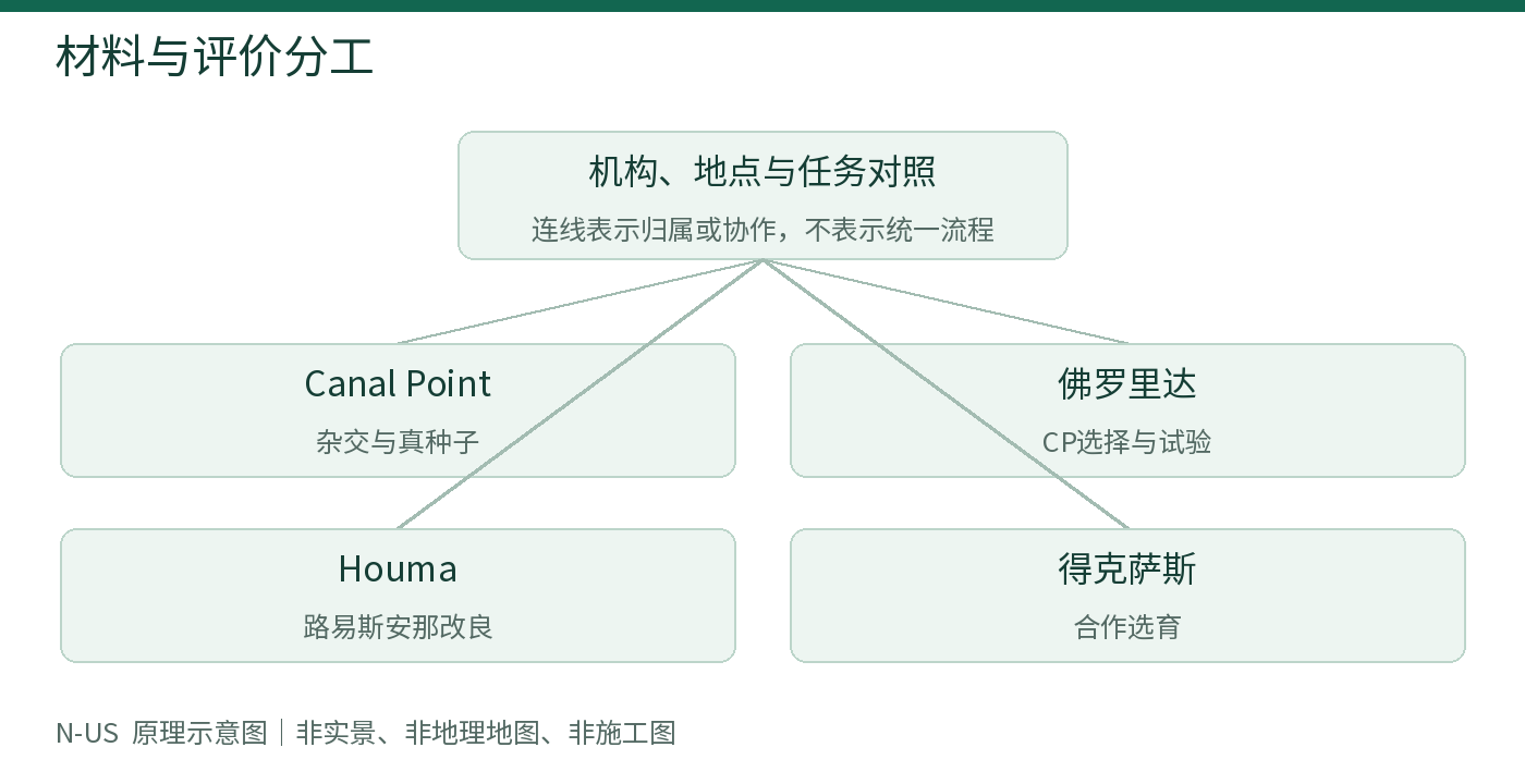 材料与评价分工