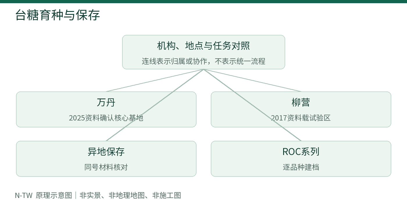 台糖育种与保存