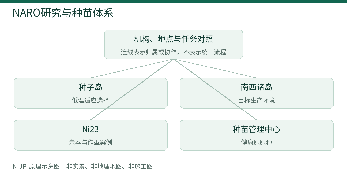 NARO研究与种苗体系
