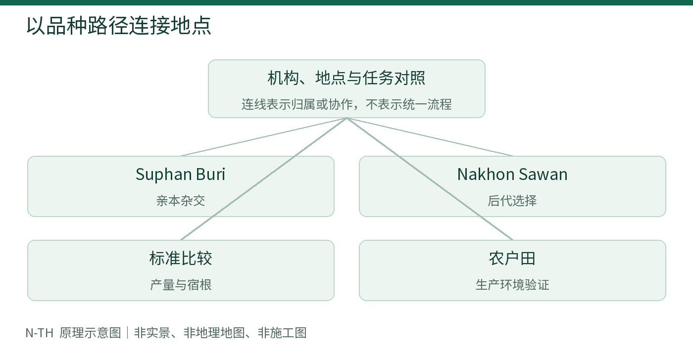 以品种路径连接地点