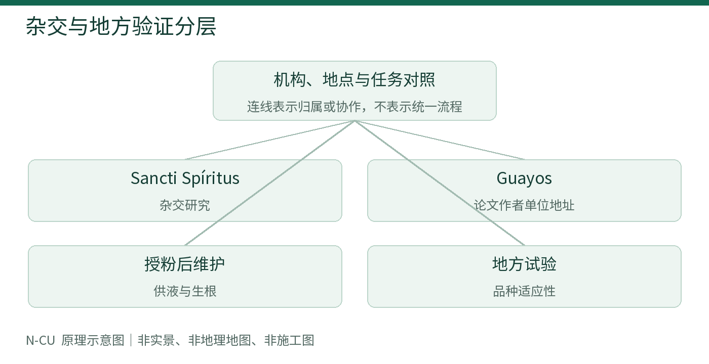 杂交与地方验证分层