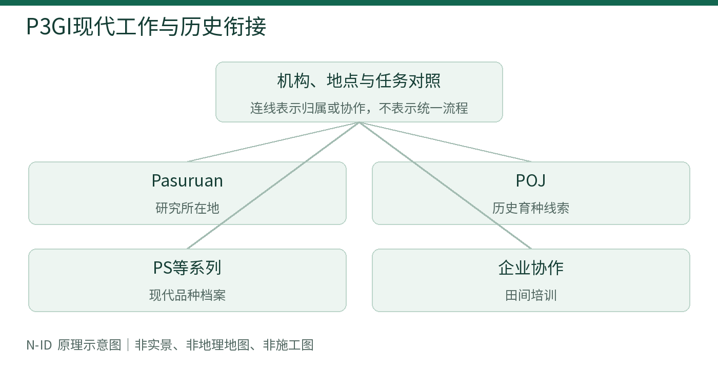 P3GI现代工作与历史衔接