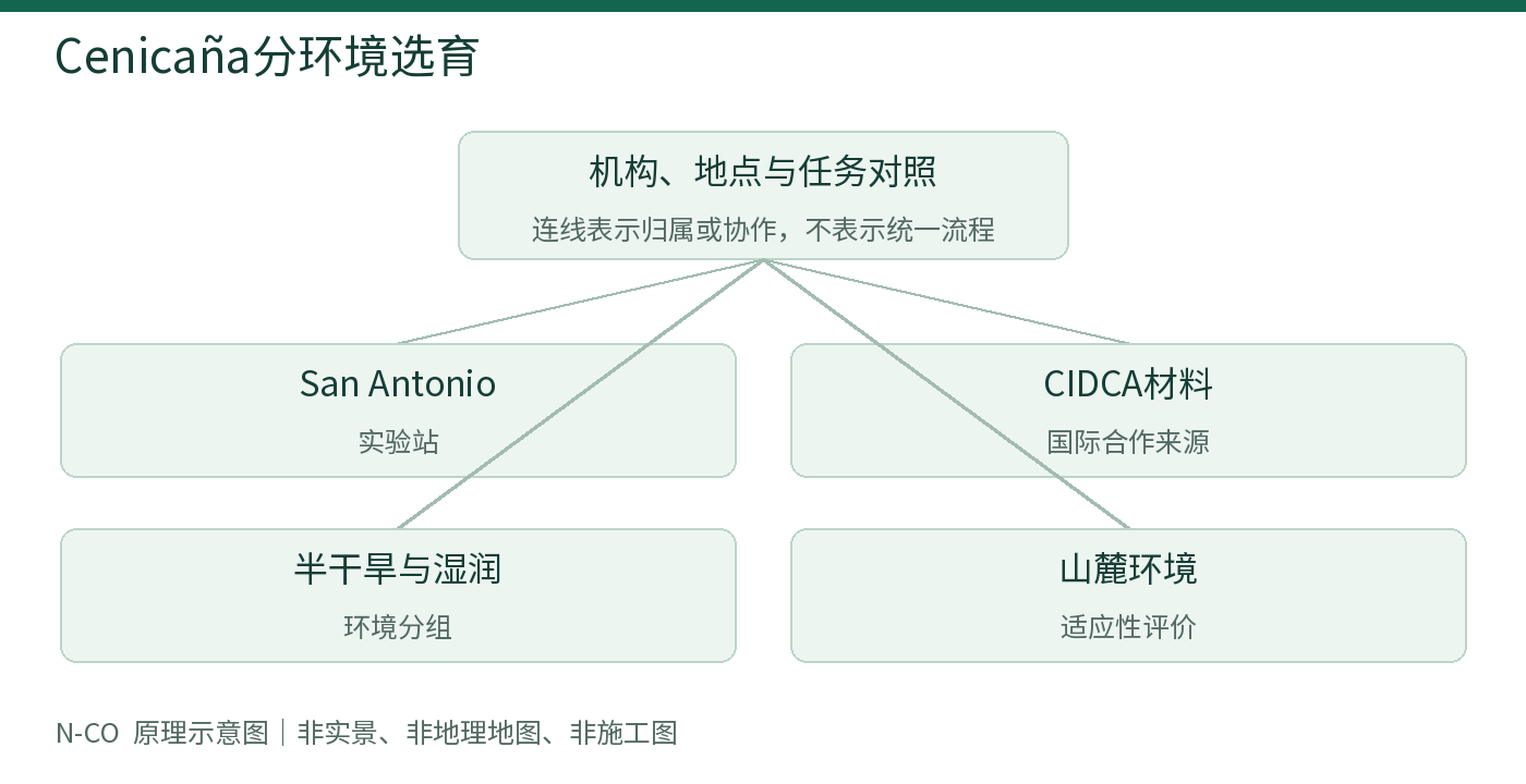 Cenicaña分环境选育