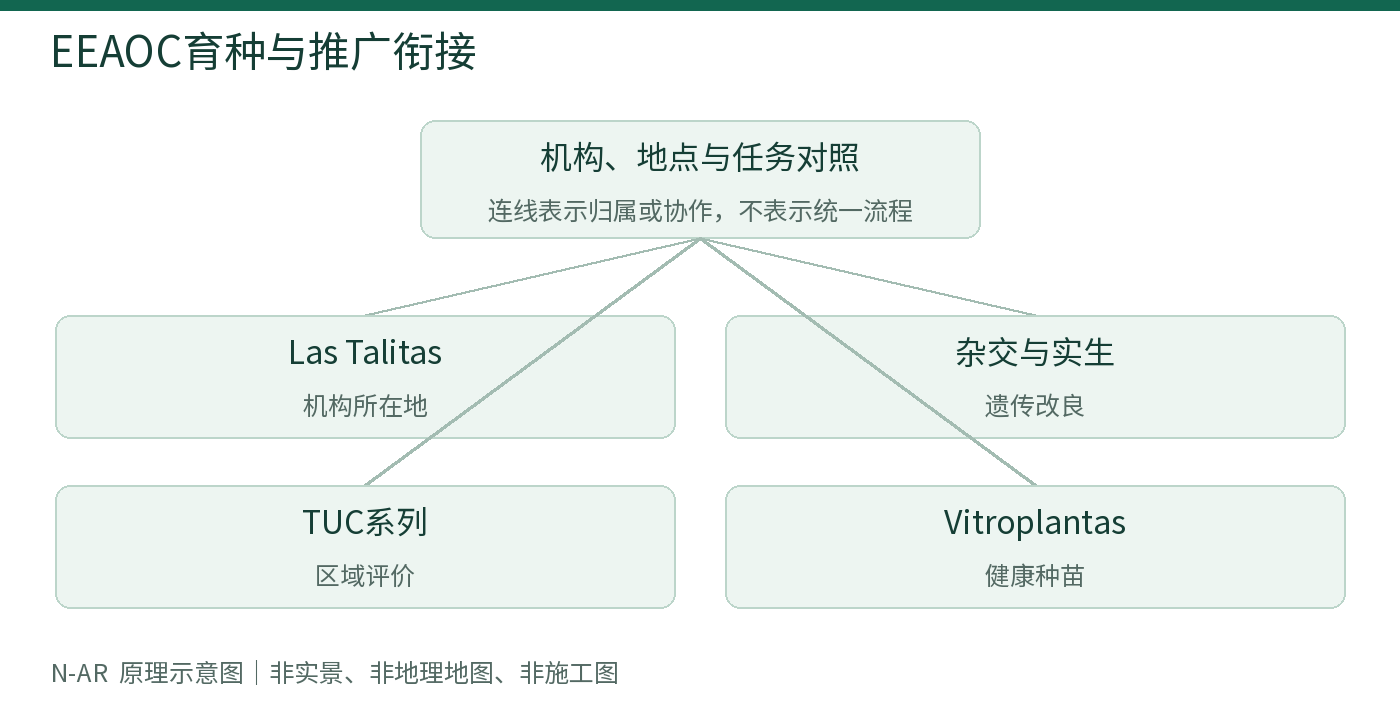 EEAOC育种与推广衔接