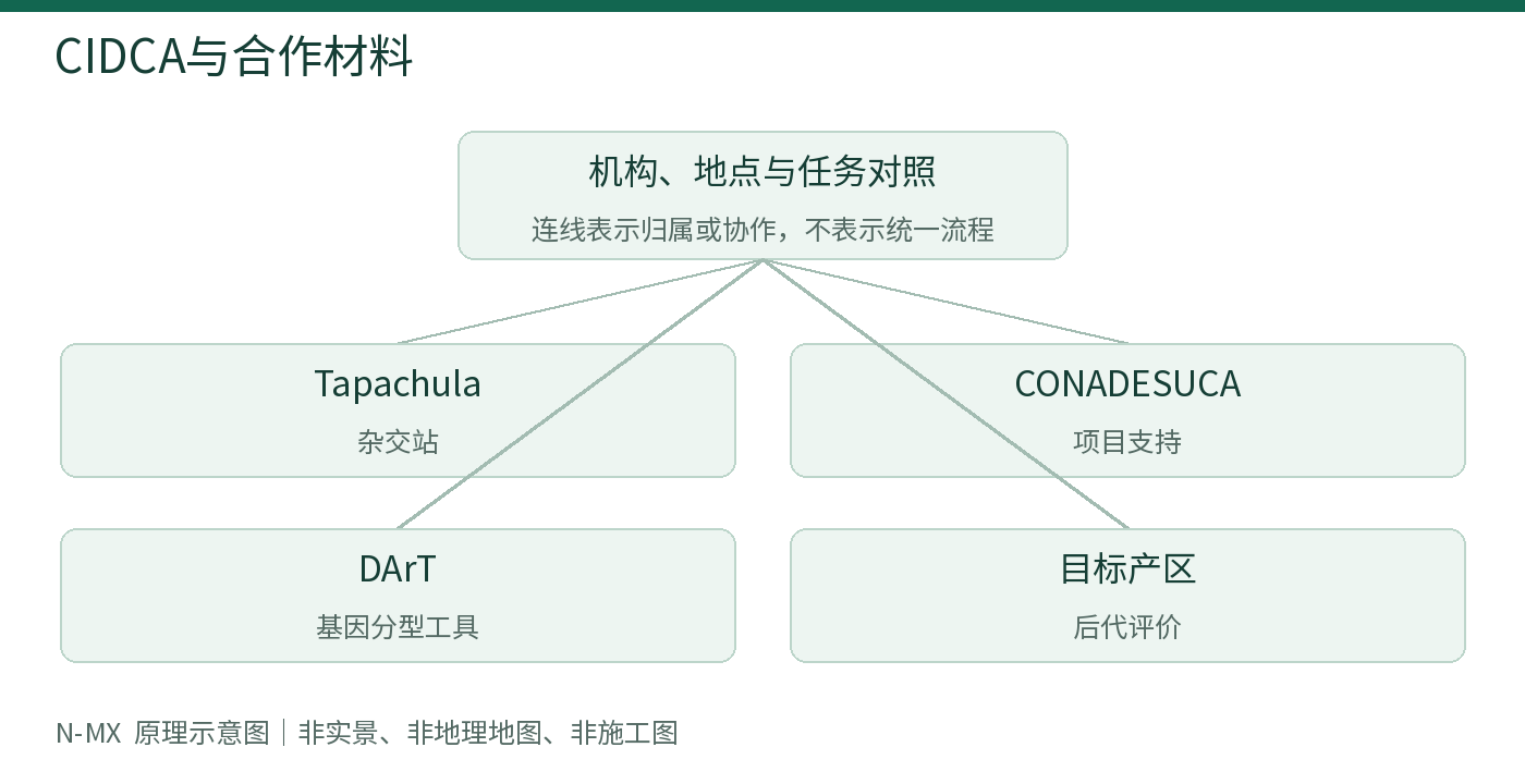 CIDCA与合作材料