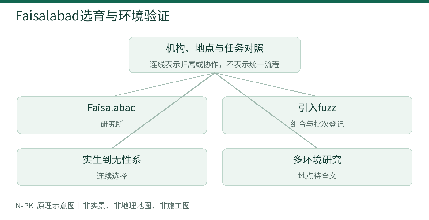 Faisalabad选育与环境验证
