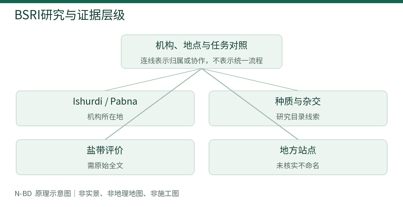 BSRI研究与证据层级
