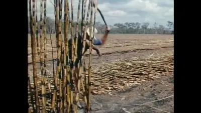 研究采样帧；请结合相邻时间与观察记录核读