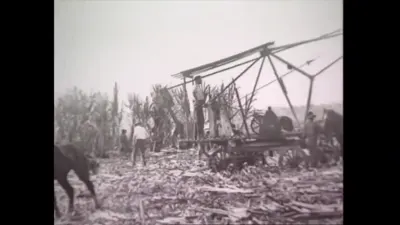 研究采样帧；请结合相邻时间与观察记录核读