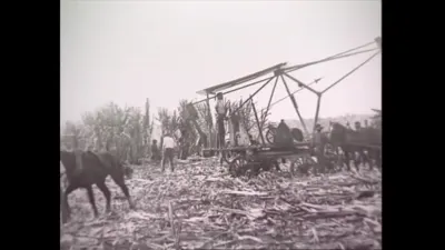 研究采样帧；请结合相邻时间与观察记录核读