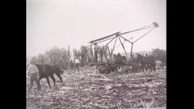 研究采样帧；请结合相邻时间与观察记录核读