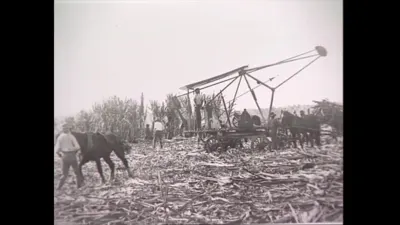研究采样帧；请结合相邻时间与观察记录核读