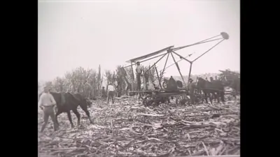 研究采样帧；请结合相邻时间与观察记录核读
