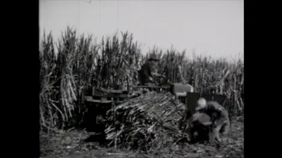 研究采样帧；请结合相邻时间与观察记录核读