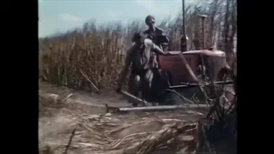 红色拖拉机侧前部低位作业框架