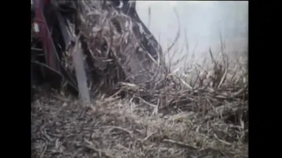 研究采样帧；请结合相邻时间与观察记录核读