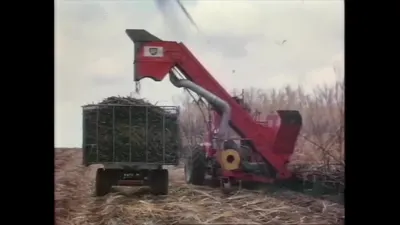 红色高位侧排收获机和网栏料车