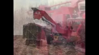 研究采样帧；请结合相邻时间与观察记录核读
