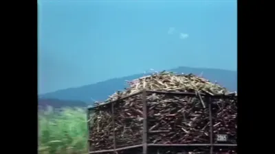 对应本页观察的原片截图