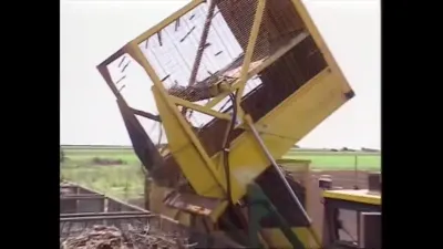研究采样帧；请结合相邻时间与观察记录核读