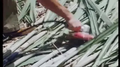 小型发动机动力单元与手持切割端