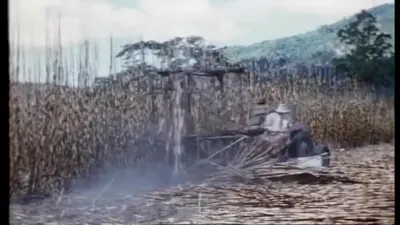 红色拖拉机侧前低位框架作业装置