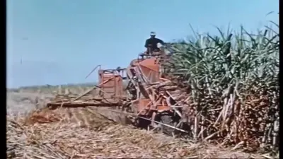 橙色开放操作位与长前伸低位装置