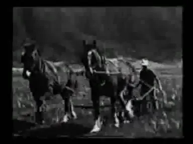 畜力牵引的行间耕作／培土设备组