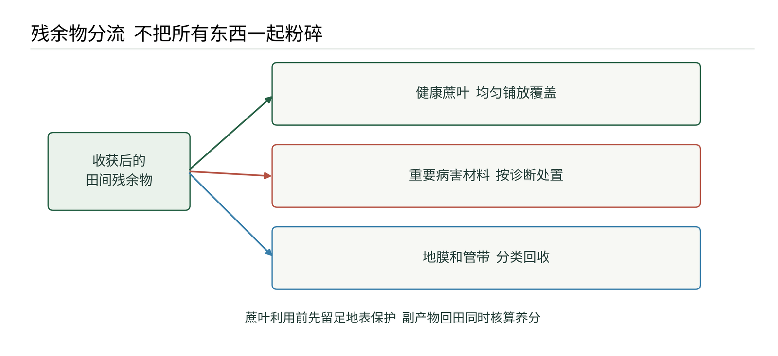 图12 收获残余物去向  健康叶片  病株组织和塑料分别处理