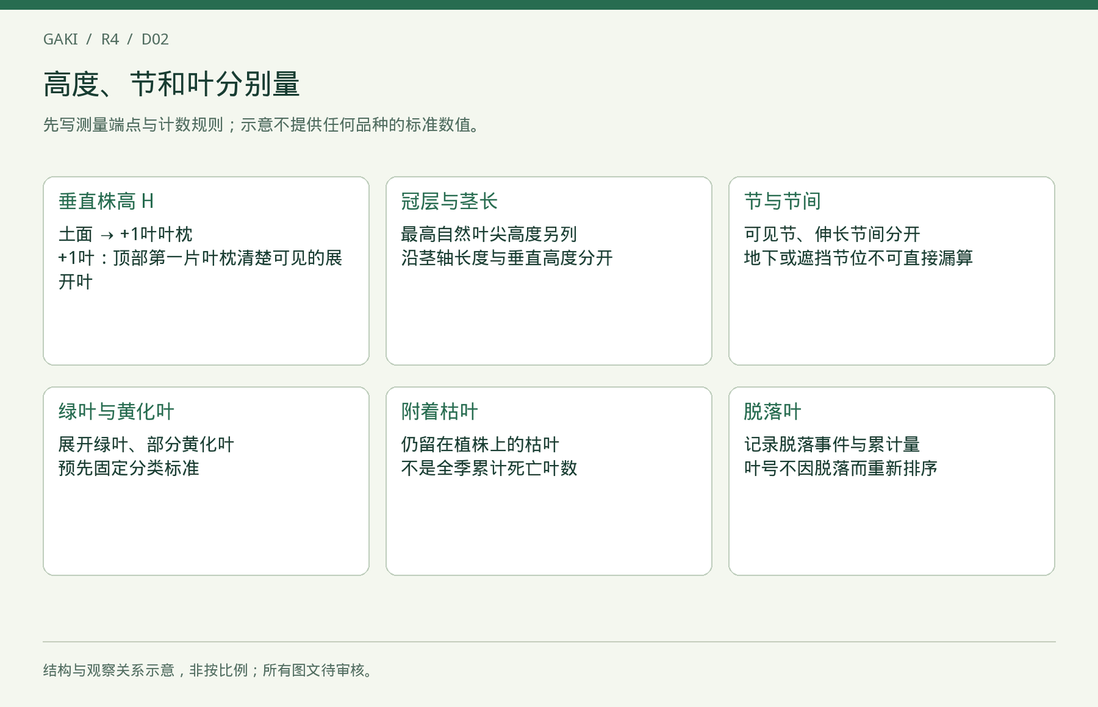 测量口径示意，不是某品种的标准高度、节数或叶数。