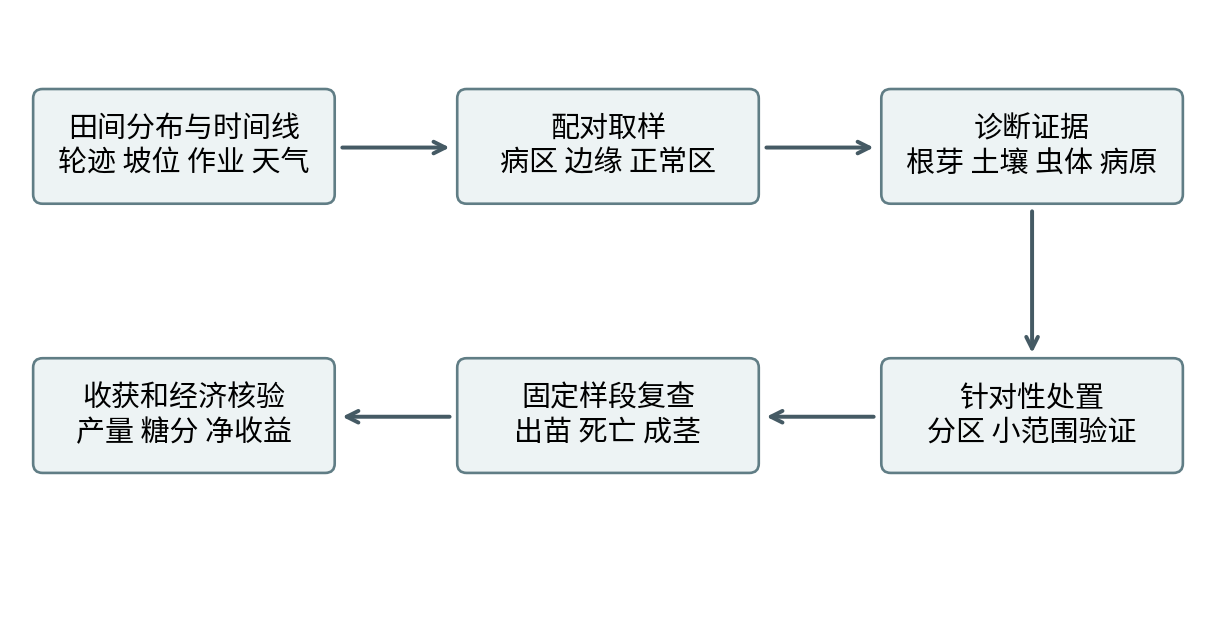 图35-1 田间诊断与效果复查流程。本书原创工作示意,每个箭头表示调查顺序而非已证实的单一因果。
