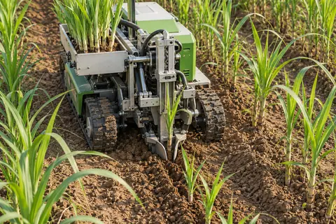 缺株定位与定点补苗机器人 / Gap detection and precision replanting robot — AI-generated concept
